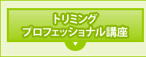 トリミングプロフェッショナル
講座