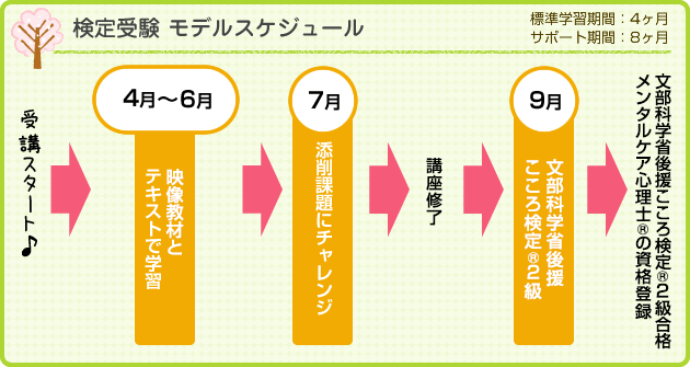検定試験 モデルスケジュール