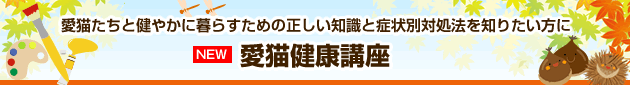 10月試験合格を目指す!効率的なカリキュラム ケアマネジャー合格講座