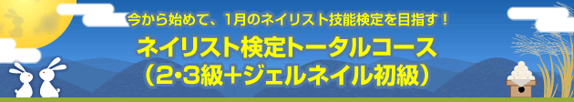 今から始めて、1月のネイリスト技能検定を目指す!ネイリスト検定トータルコース
(2・3級+ジェルネイル初級)