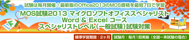 試験は毎月開催!最新版のOffice2013のMOS資格を最短7日で学習 MOS試験2013 マイクロソフトオフィススペシャリスト Word & Excel コース スペシャリストレベル(一般試験)試験対策