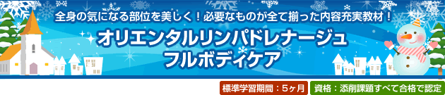 全身の気になる部位を美しく!必要なものが全て揃った内容充実教材!オリエンタルリンパドレナージュフルボディケア