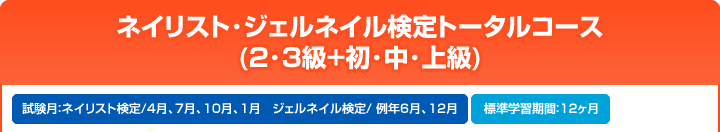 ネイリスト・ジェルネイル検定トータルコース
(2・3級+初・中・上級)