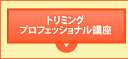 トリミング プロフェッショナル講座(ハサミセット付/右利き)