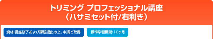 トリミング プロフェッショナル講座(ハサミセット付/右利き)