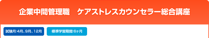 企業中間管理職 ケアストレスカウンセラー総合講座