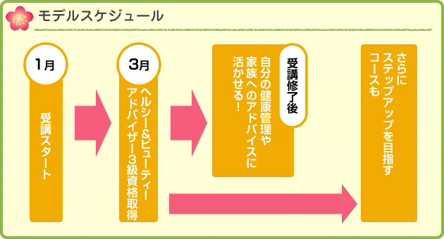 モデルスケジュール