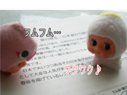 ¥Æ¥¥¹¥È¤ò¸«¤ë¥Ó¥å¡¼¥Ô¥£