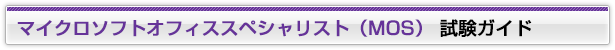 マイクロソフトオフィススペシャリスト(MOS) 試験ガイド