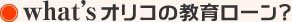 what's¥ª¥ê¥³¤Î¶µ°é¥í¡¼¥ó¡©