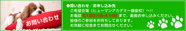 セミナー内容