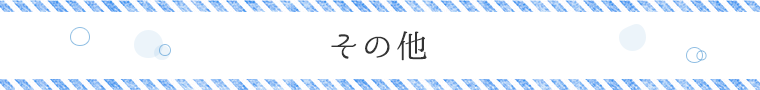 その他