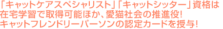 
「キャットケアスペシャリスト」「キャットシッター」資格は在宅学習で取得可能ほか、愛猫社会の推進役！キャットフレンドリーパーソンの認定カードを授与！