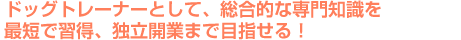 ドッグトレーナーとして、総合的な専門知識を最短で習得、独立開業まで目指せる！