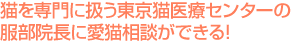 猫を専門に扱う東京猫医療センターの服部院長に愛猫の健康相談ができる！