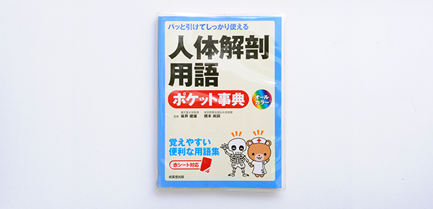 初心者でも分かりやすくプロになるための知識や技術が学べます！