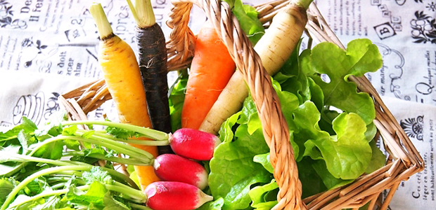 栄養学と中医学の両面から野菜と果物に関する正しい知識を身につける