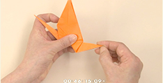 分かりやすいDVD