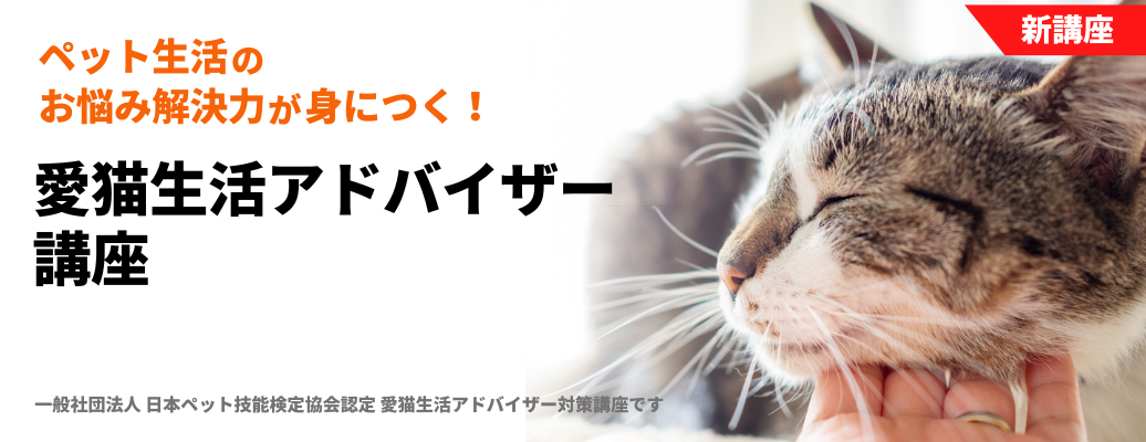 愛猫生活アドバイザー講座