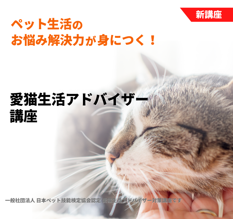 愛猫生活アドバイザー講座