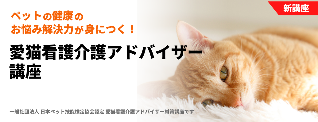 愛猫看護介護アドバイザー講座