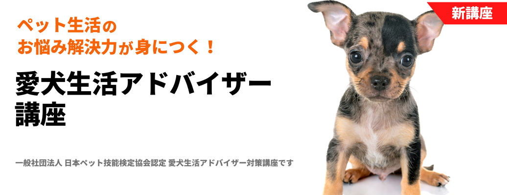 愛犬生活アドバイザー講座