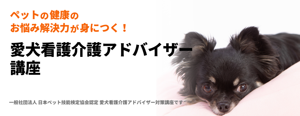 愛犬看護介護アドバイザー講座