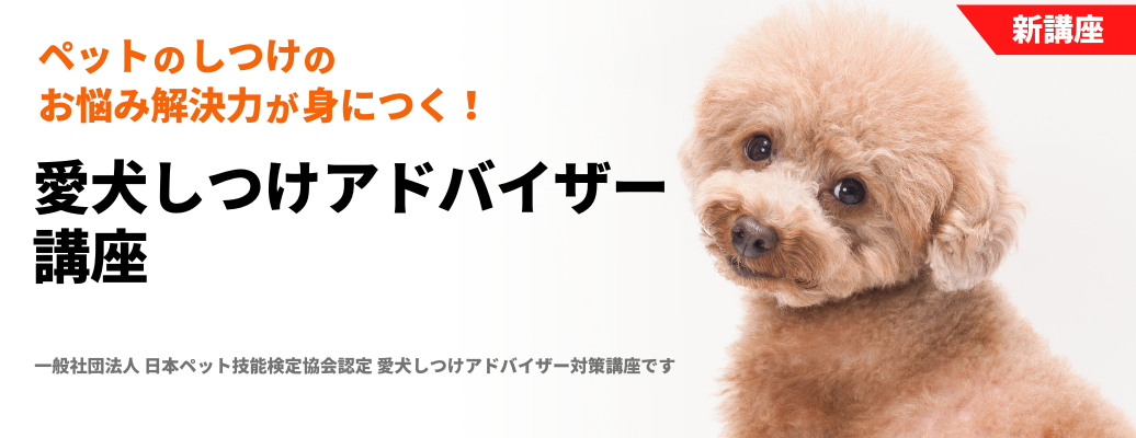 愛犬しつけアドバイザー講座