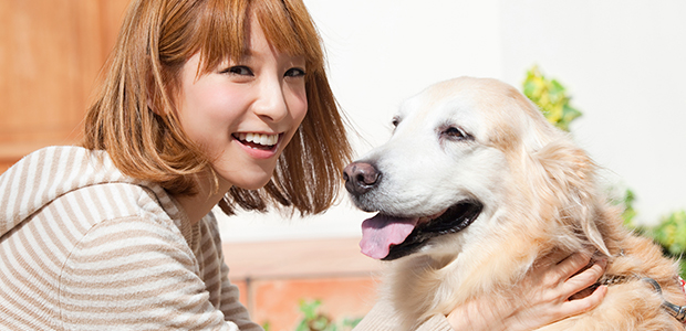 ペットビジネスにおける16資格が取得できる