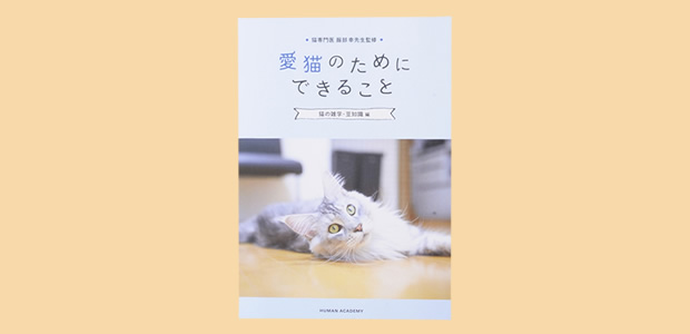 愛猫健康講座｜通信教育・通信講座のたのまな