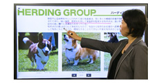 専門テキストの要点をわかりやすく映像講義で解説！