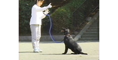 プロの実技はもちろん、終了後も使える質の高いＤＶＤ教材。