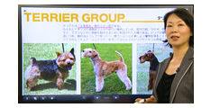 専門テキストの要点をわかりやすく映像講義で解説！