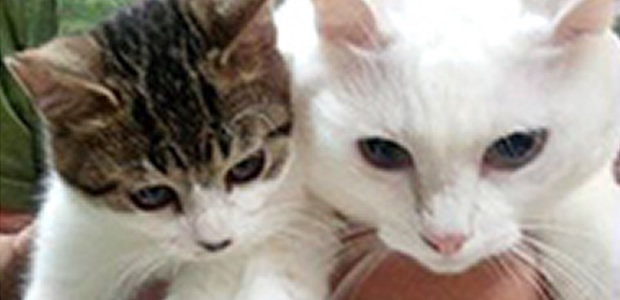 メンタルケア＆コミュニケーションスキルを磨く！
