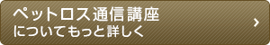 ペットロス通信講座についてもっと詳しく