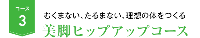 コース3 むくまない、たるまない、理想の体をつくる 美脚ヒップアップコース