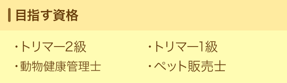 目指す資格