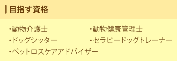 目指す資格