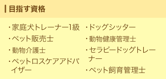 目指す資格
