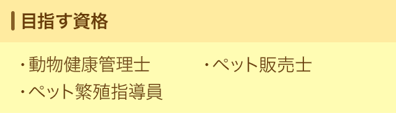目指す資格