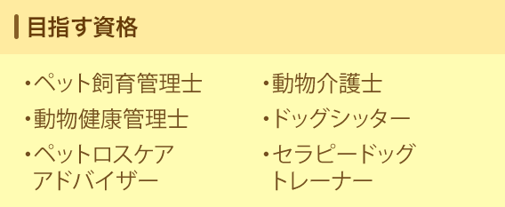 目指す資格