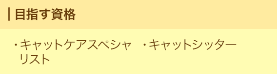 目指す資格