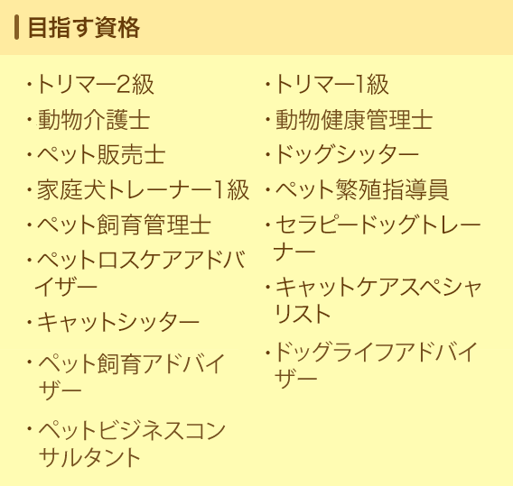 目指す資格