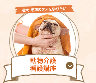 動物介護看護講座