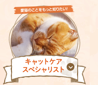 キャットケアスペシャリスト