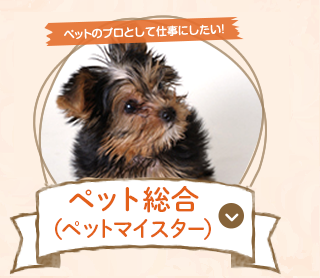 トリマー2級 合格保証付き ペット総合（ペットマイスター）
