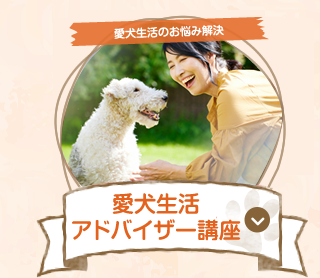愛犬生活アドバイザー講座