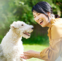 犬