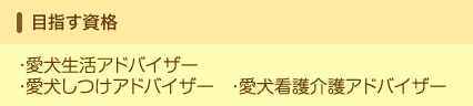 目指す資格