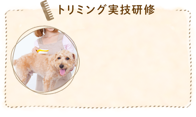 トリミング実技研修
